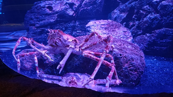 2022-03 Sealife Bangkok